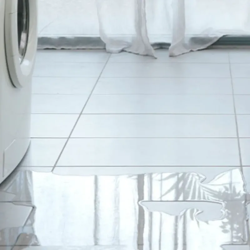 Appliance Leak Cleanup in Mount Vista, WA