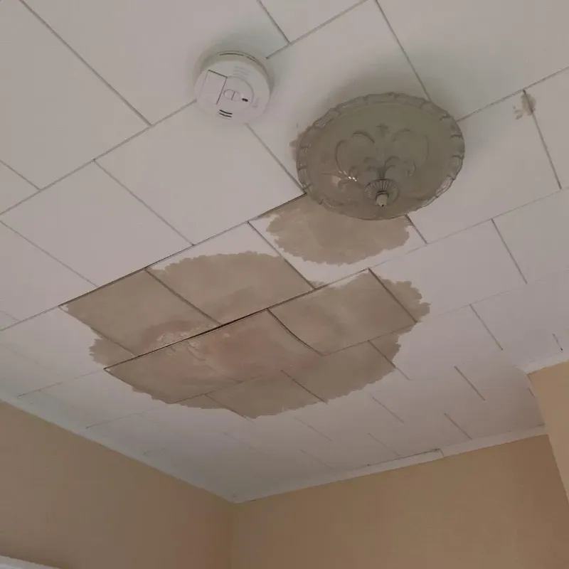 Ceiling Water Damage Repair in Mount Vista, WA